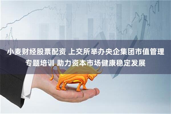 小麦财经股票配资 上交所举办央企集团市值管理专题培训 助力资本市场健康稳定发展