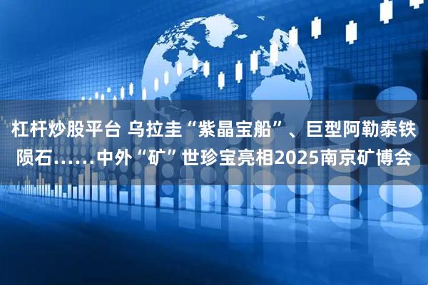 杠杆炒股平台 乌拉圭“紫晶宝船”、巨型阿勒泰铁陨石……中外“矿”世珍宝亮相2025南京矿博会