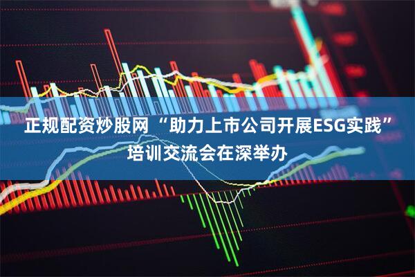正规配资炒股网 “助力上市公司开展ESG实践”培训交流会在深举办