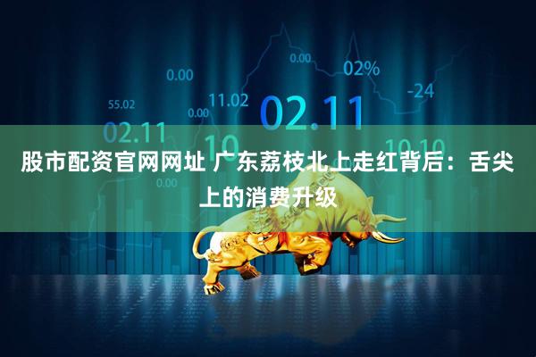 股市配资官网网址 广东荔枝北上走红背后：舌尖上的消费升级